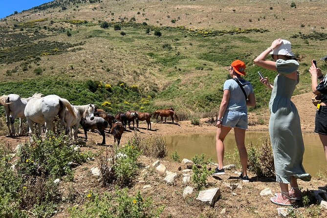 1-Day Tour in Blue Eye, Monastery, Gjirokaster and Lekursi Castle - What the $44.65 price really covers