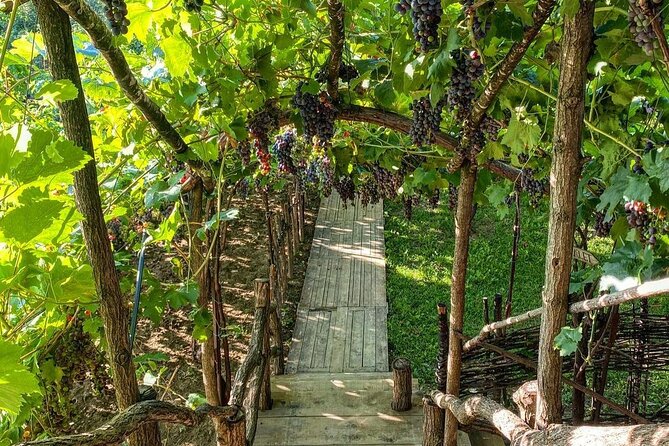 2 Days Tirana, Berat and Castle of Berat Tour - A Tirana walk with burek