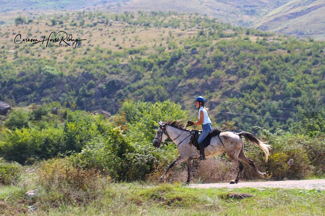 2-Hours Guided Drino's Valley Ride - The Horses and the Pace of the Ride