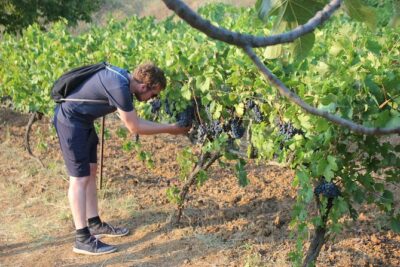 Albanian Highlights – UNESCO sites ,Nature and Food tour