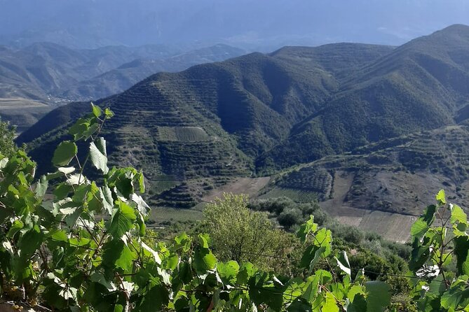Berat 4x4 Off-Road and Vineyard Wine Tasting - Why the road matters as much as the wine