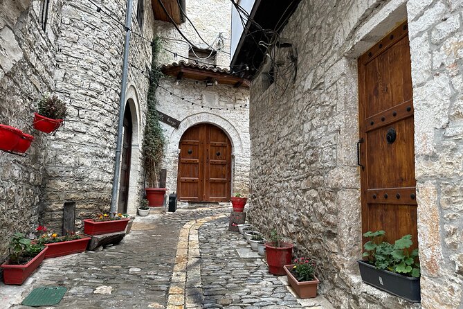 Berat city UNESCO tour, the Castle & Belshi lake- From Tirana - Key things to know before booking