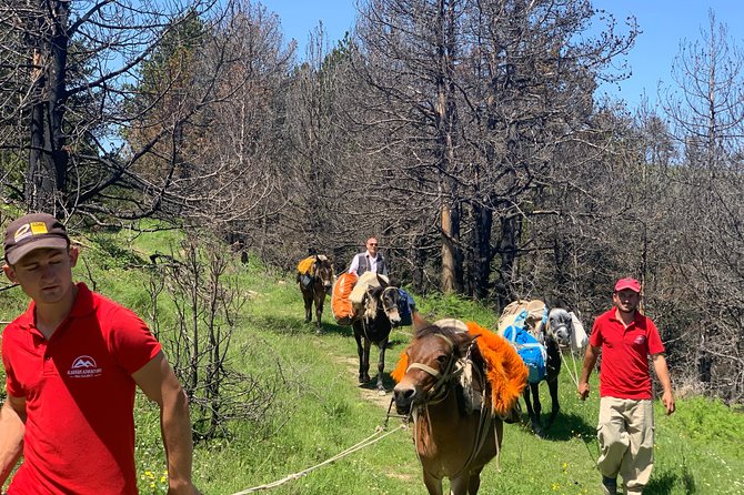 Berat Hiking Off Road picnic lunch in Tomori Holy Mount - Starting in Berat at 9:00 a.m.