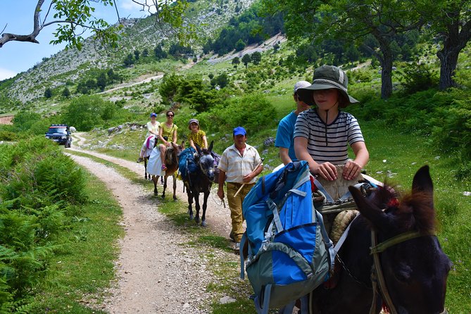 Berat Hiking Off Road picnic lunch in Tomori Holy Mount - The rough SUV road to Qafe Dardhe