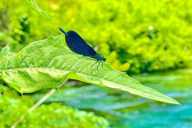 Blue Eye And Lekuresi Castle, 4 Hour Nature and Historical Tour - Who will get the most from this outing?