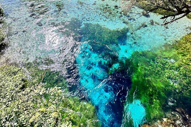 Blue Eye And Lekuresi Castle, 4 Hour Nature and Historical Tour - The Blue Eye: a spring worth the walk