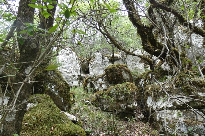 BOGOVA WATERFALL & WINERY TOUR from Berat by 1001 AA - Returning to Nurellari Winery