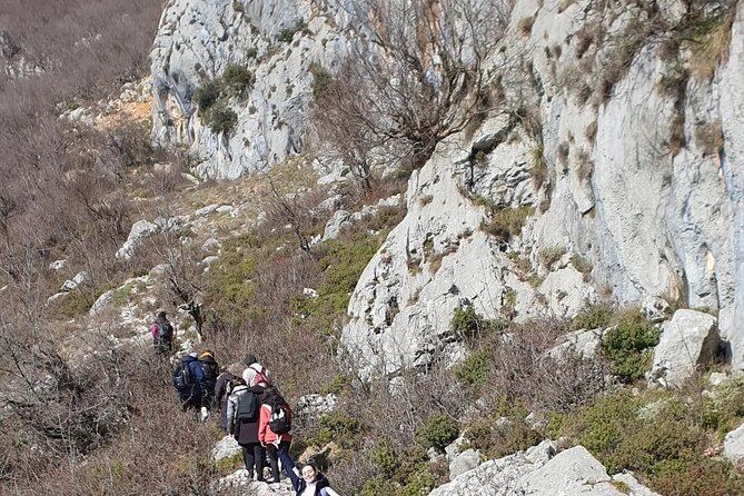 Bovilla lake Hiking Experience - Who will enjoy this half-day outing