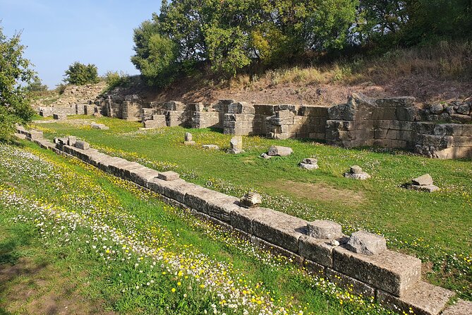 Day tour of Apollonia Park, Vlore and Narta from Tirana&Durres - What the Apollonia visit feels like