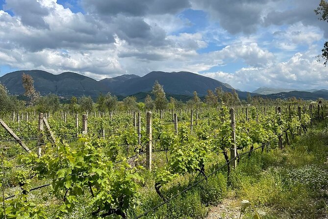 Experience Blue Eye , Lekuresi Castle and Taste Traditional Albanian Wine - Timing, pickup, and practical preparation