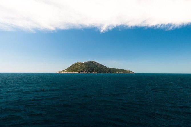 Explore Vlora Bay: Sazani Island &Karaburun peninsula from Tirana - Shën Vasili Bay and the swimming break