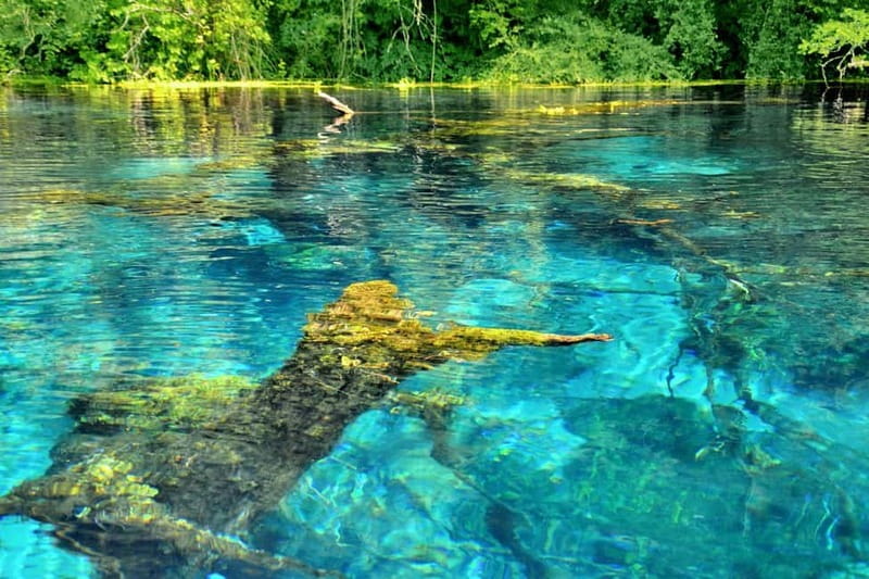 From Durres: Saranda, Blue Eye, Ksamil Islands Boat Tour - Should you book this Durres to Ksamil tour?