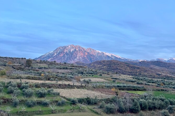 From Tirana: Berat UNESCO & Belshi Lake Full-Day Tour - The Onufri Museum and its €5 entry