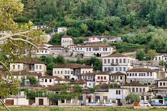 From Tirana; Semi - Private Day Trip to Berat & Belsh Lake - Who will enjoy this day most