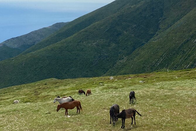 Full Day Tour from Albanian Riviera/Borsh to Dhermi and Llogara - Himare gives you the region’s main coastal center