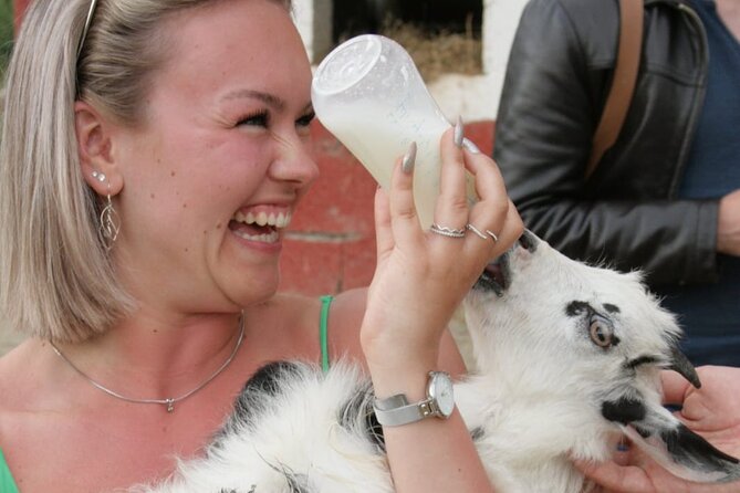 Gourmet Lunch Farm Tour with Cooking Class - Goats, donkeys, and the small farm