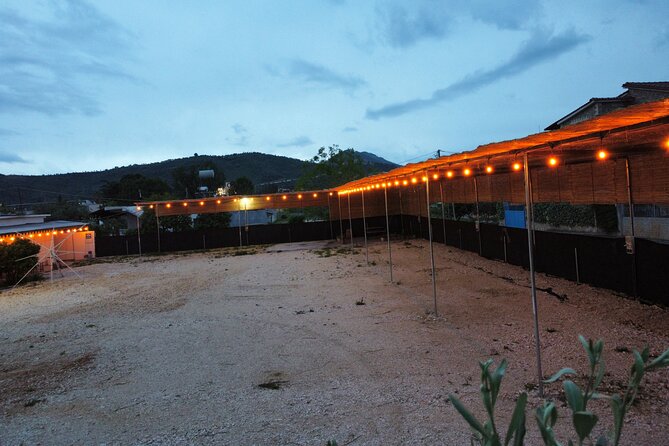 Happy Camping Berat - The bar and morning menu