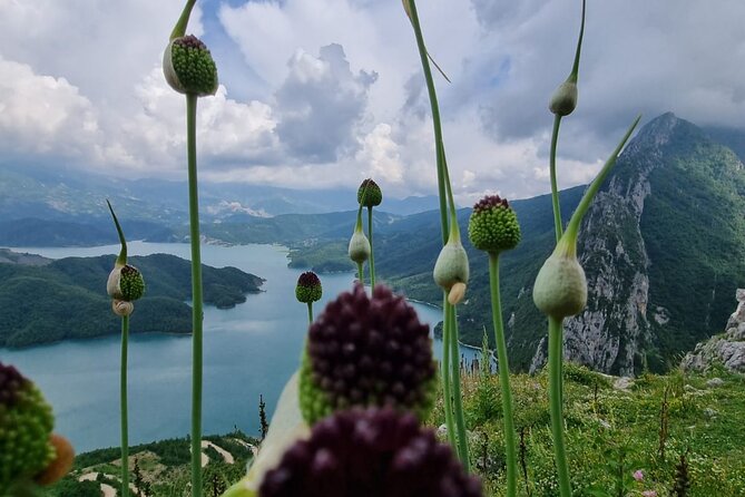 Hiking to Gamti, Bovilla Lake and Kruja Day Trip from Tirana - The old bazaar is more than a shopping stop