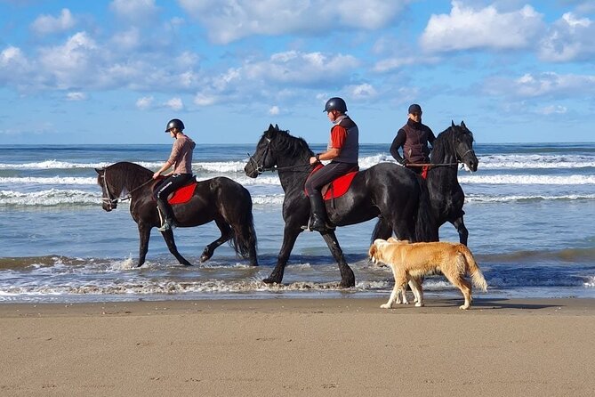 Horseback Riding Adventure in Durrës for Experienced Riders - What the Durrës setting adds