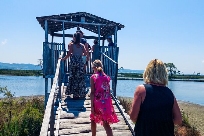 Karavasta Lagoon Adventure: Boat & Wildlife Tour from Durrës - What you learn at the Divjakë visitor center