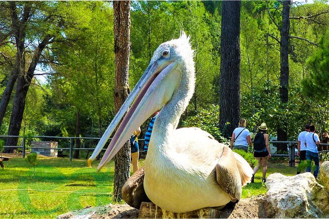 Karavasta Lagoon Adventure: Boat & Wildlife Tour from Durrës - Local fishermen and the human side of the lagoon