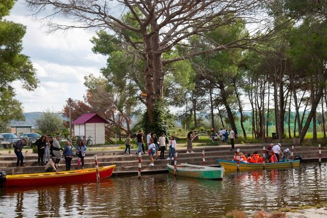 Karavasta Lagoon Adventure: Boat & Wildlife Tour from Durrës - Divjakë Beach and the choice between lunch and swimming