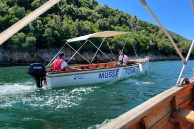 Mussel Sailing Tour with Food and Drink in Albania