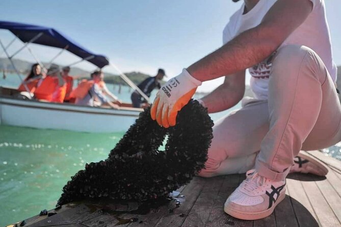 Ksamil: Mussel Sailing Tour with Food and Drink in Albania - Timing, weather, and practical planning