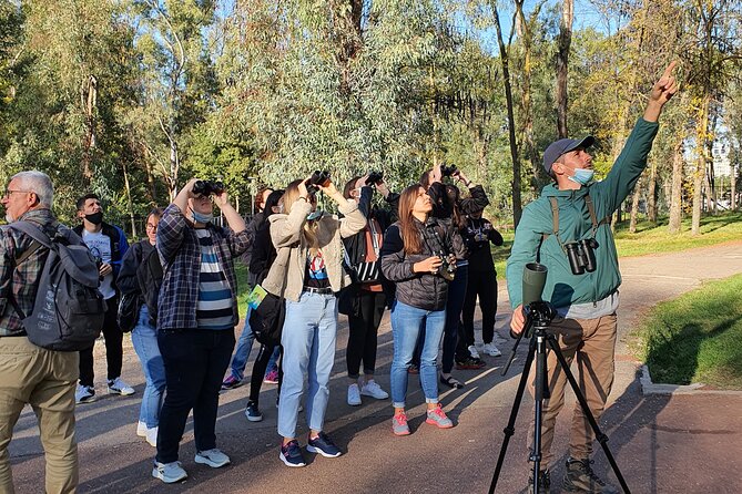 Private Birding Tour in Albania - Key points for planning your birding days