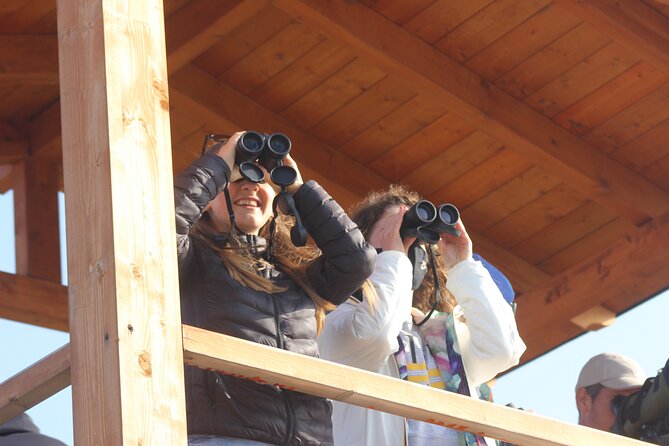 Private Birding Tour in Albania - Why Albania works well for a private birding trip