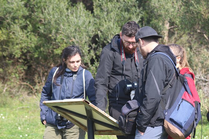 Private Birding Tour in Albania - Your first field day near Tirana