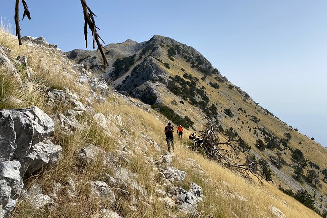 Private Hiking Tour in Çika Mountain - Through the pine trees and into Llogara National Park
