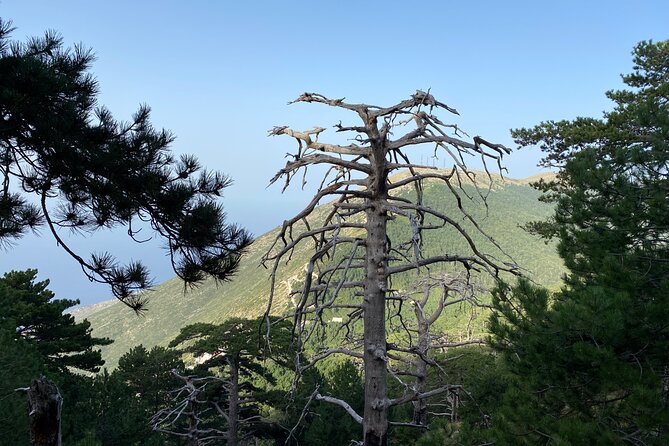 Private Hiking Tour in Çika Mountain - The summit views and the sea-to-mountain contrast