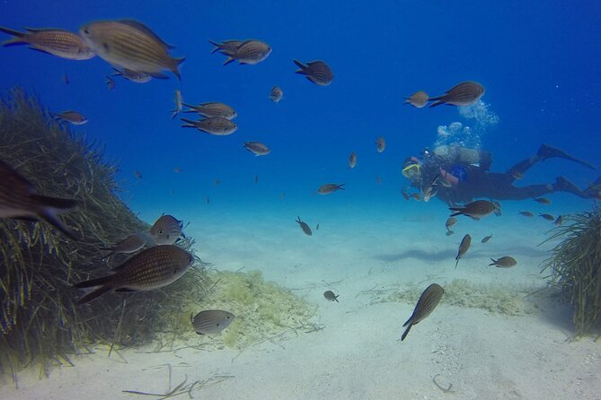 Scuba Diving in MIG-21 wreck - Seeing the wreck underwater