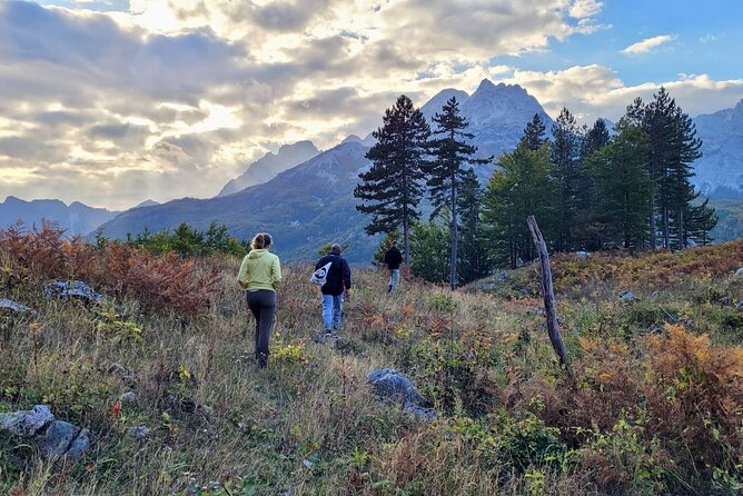 Self-Guided Hiking Tour: Theth, Valbona & Koman Lake in 3 Days - Day three: Komani Lake by boat
