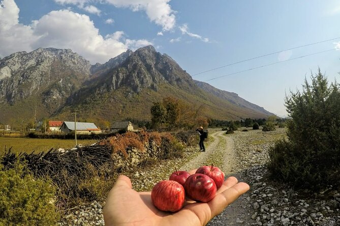Self-Guided Hiking Tour: Theth, Valbona & Koman Lake in 5 days - Day 5: Valbona, Koman Lake, and the long ride home