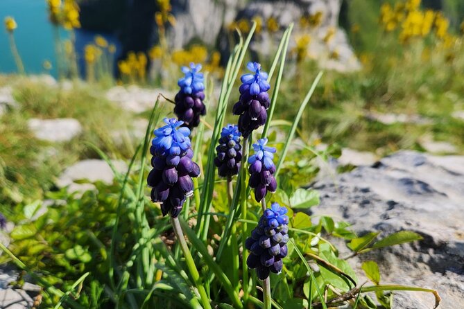 Semi – Private Tour at Cape of Rodon; Hidden Beaches & History - Why Cape of Rodon makes a good Tirana escape