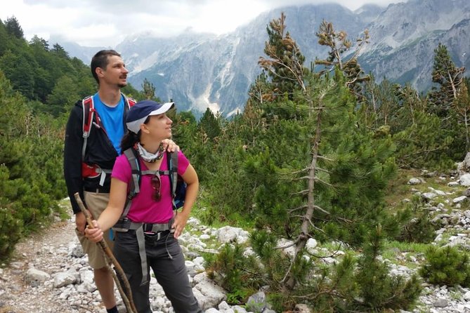 Small Group Hiking Tour; Peaks of the Balkans Trail in 7 Days - Day 5: Pine forests and a night at Doberdol