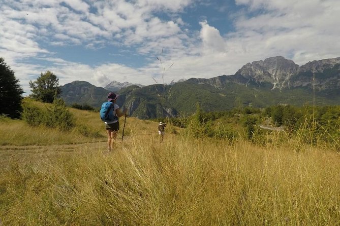 Small Group Hiking Tour; Peaks of the Balkans Trail in 7 Days - Day 7: Gjakova’s bazaar and the ride back to Tirana