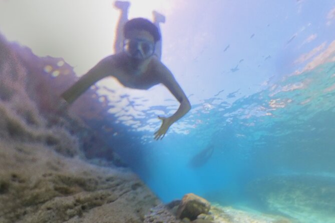 Snorkeling 360 Experience in Sazan Island & Karaburun - How good is the guide and commentary?