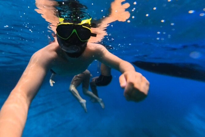 Snorkeling 360 Experience in Sazan Island & Karaburun - Is $48.39 a fair price?