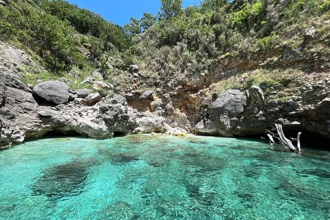 Speed Boat Tour to National Park and Grama Bay - Food, drinks, and what to bring