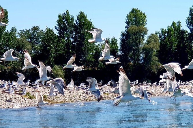 Stand Up Paddle at Skadar lake and Hiking from Valbona to Theth in 4 Days - Day 2: The 20-kilometer Valbona to Theth hike