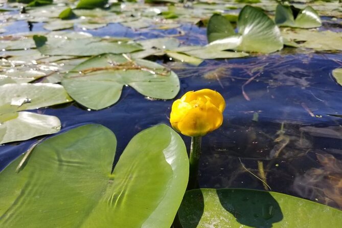 Stand Up Paddle at Skadar lake and Hiking from Valbona to Theth in 4 Days - Theth’s towers, waterfalls, and difficult customs