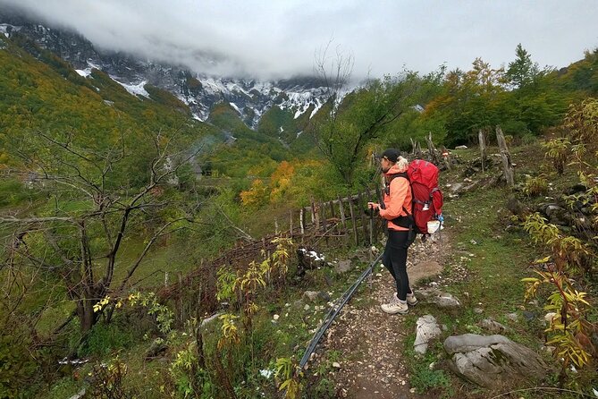 Stand Up Paddle at Skadar lake and Hiking from Valbona to Theth in 4 Days - Day 4: Paddleboarding through Skadar Lake’s bird country