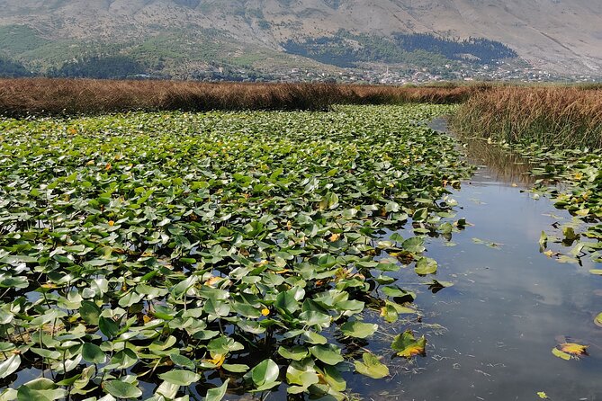 Stand Up Paddle Board or Kayak Rental in Shkodër - Who Will Enjoy This Most