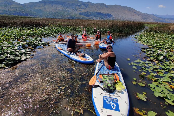 Stand Up Paddle Board or Kayak Rental in Shkodër - Following the Route Into Quiet Lake Nature