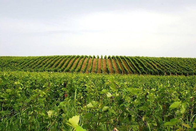 Tour of Kruja and Wine Tasting in one Day from Tirana - What the $160.88 price includes in practical terms