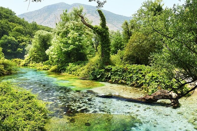 Tour to Butrint Antic City/Blue Eye Spring/Lekursi Castle - Why this combination works in Saranda
