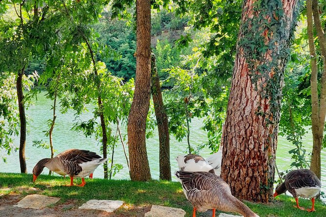 Vineyards, Albanian Wine Tasting & Boat Tour from Tirana/Durres - Group size, language, and pace